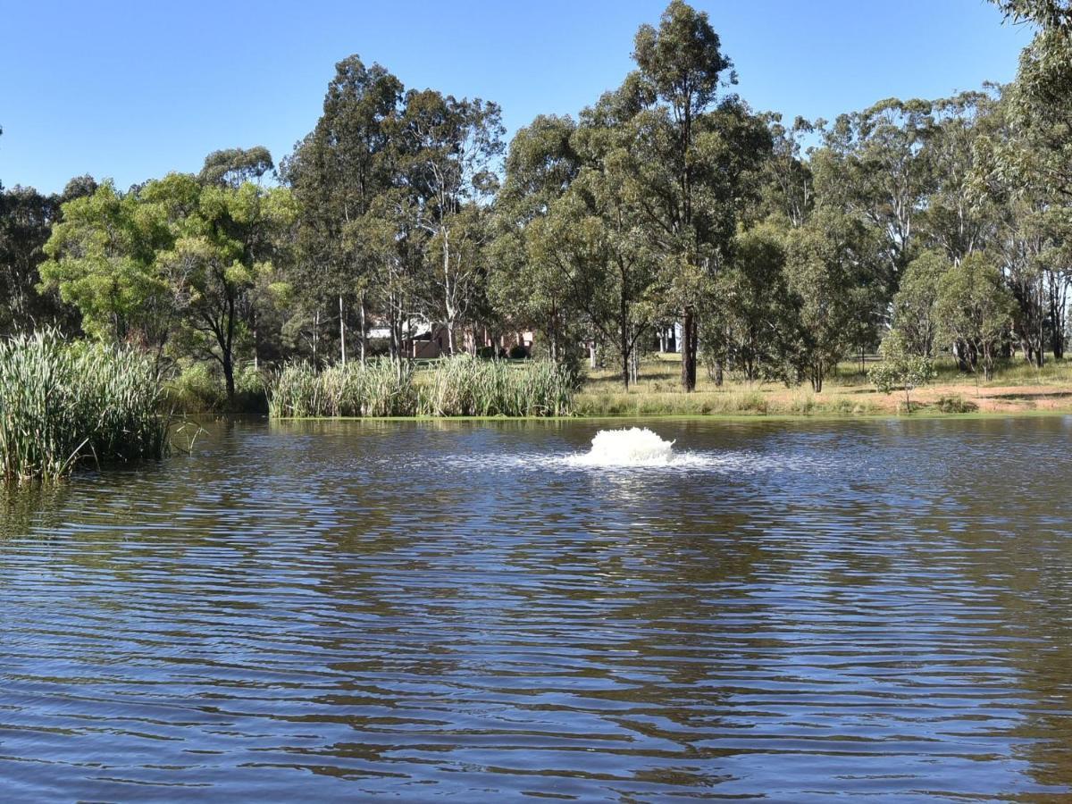Blaxlands Homestead - Nothing Is Closer Opposite Hope Estate With Wifi And Pool Plus Fireplace Pokolbin Exteriör bild